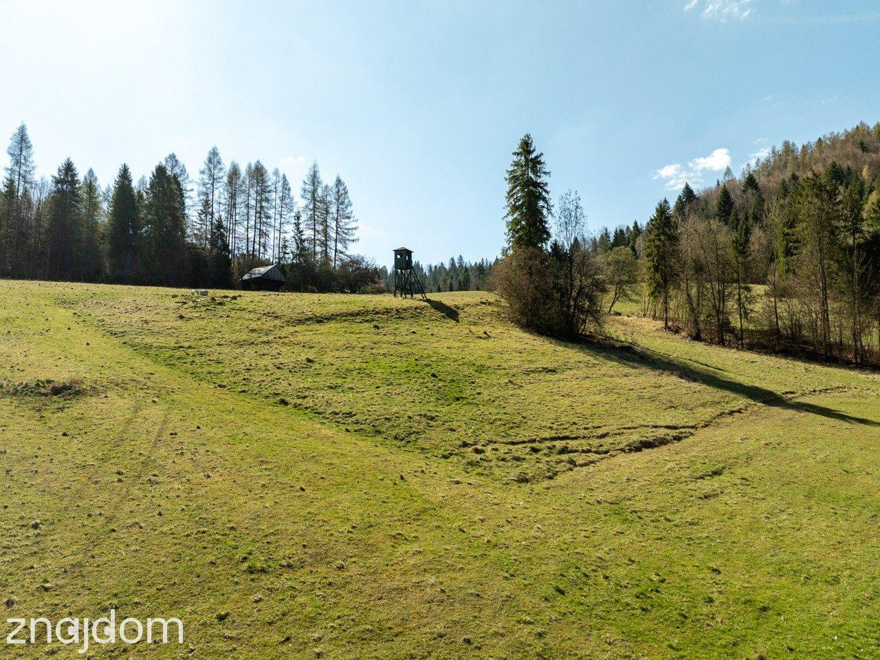 Działka widokowa | Szlachtowa | ok. 4395 m² - zdjęcie 9