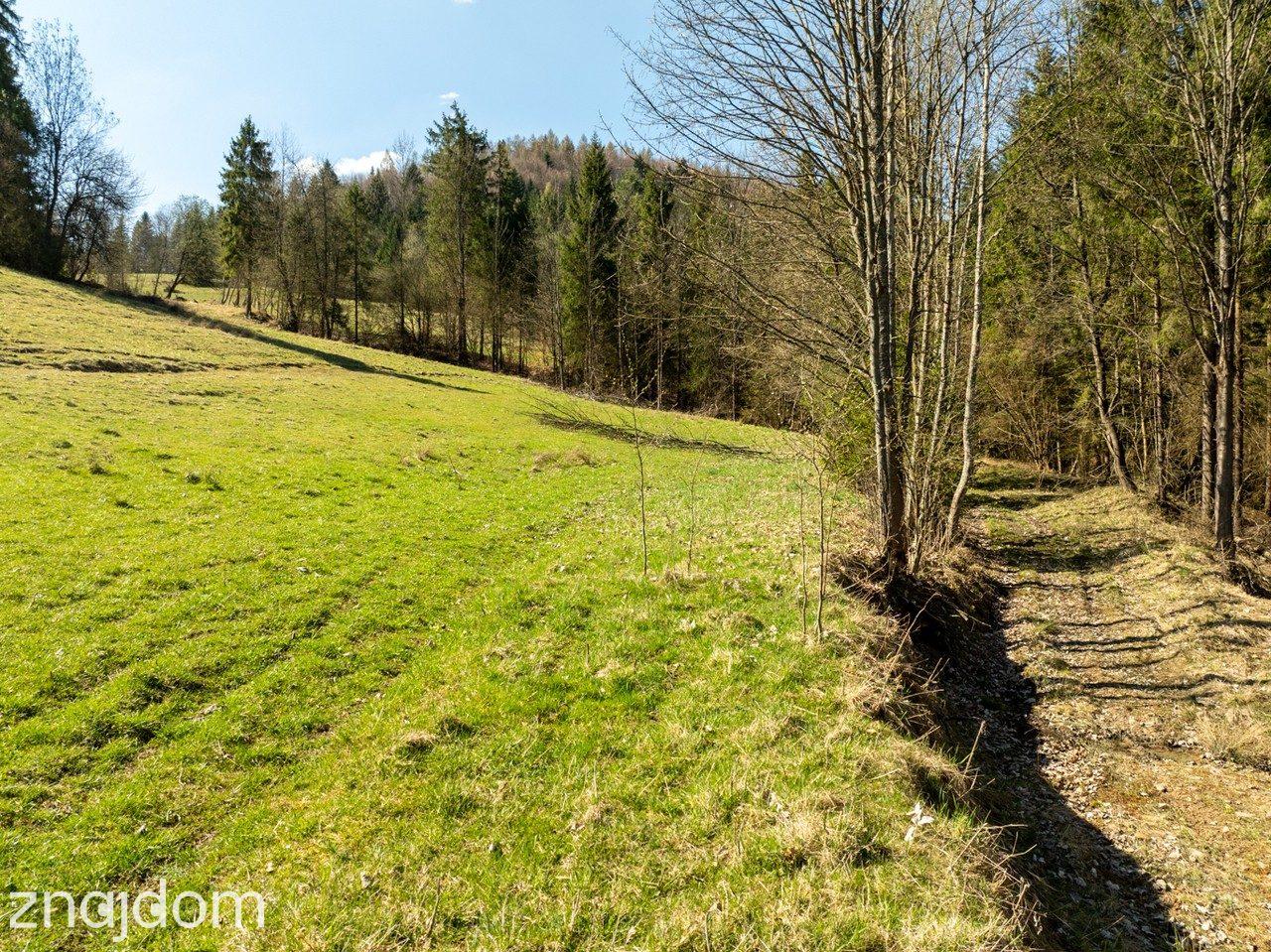 Działka widokowa | Szlachtowa | ok. 1921 m² - zdjęcie 11