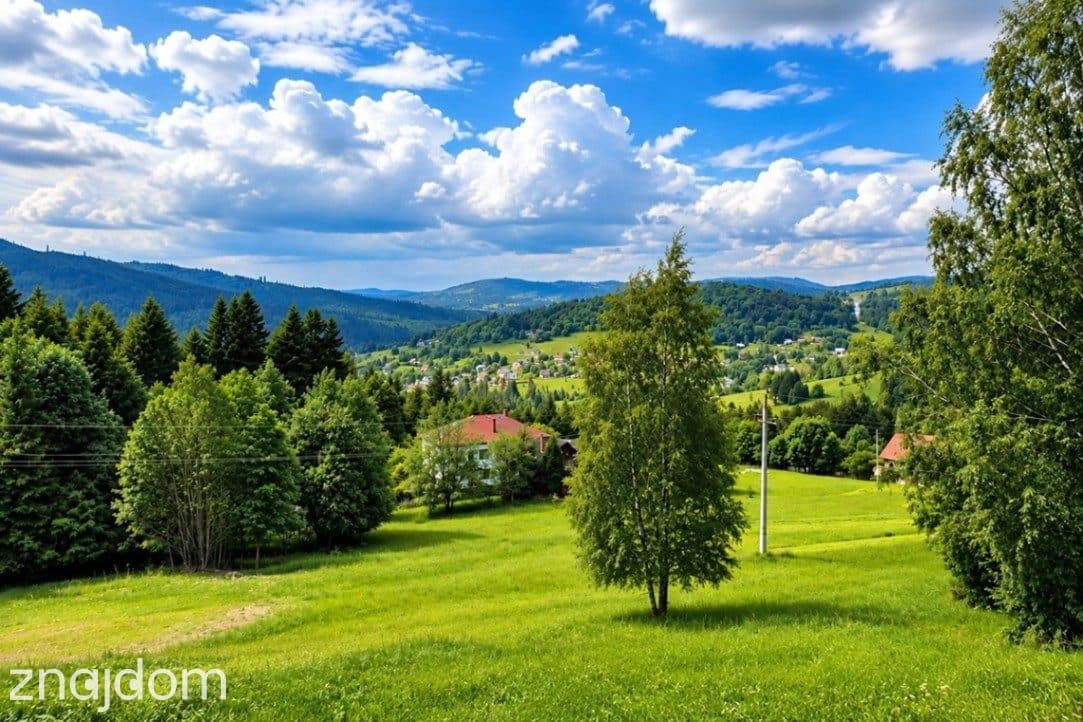 Działka ok. 5800 m² w Sól Kiczora – widokowa - zdjęcie 5