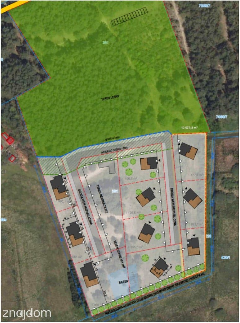 Teren 3,5ha w sercu Puszczy Noteckiej|Prywatny las - zdjęcie 8
