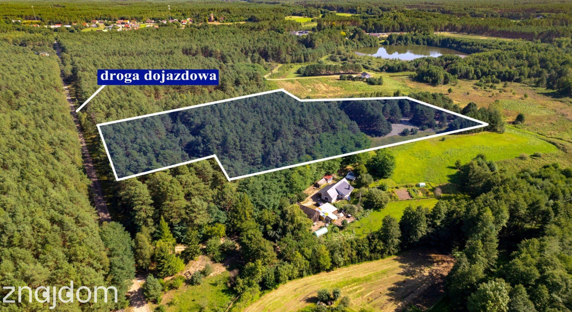Teren 3,5ha w sercu Puszczy Noteckiej|Prywatny las