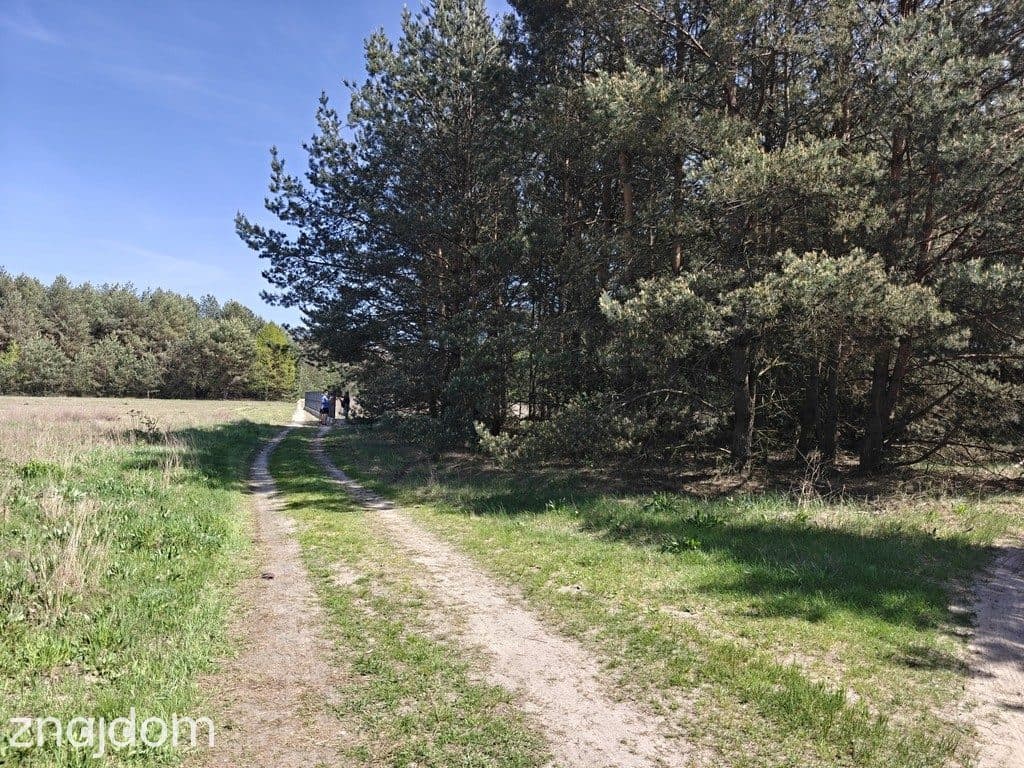 MICHAŁÓW- Działka budowlana 5500 m2- MPZP - możliwość podziału - zdjęcie 3