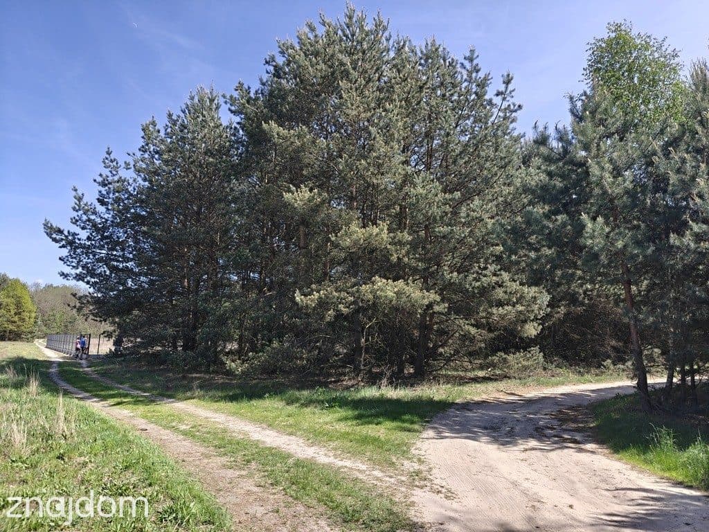 MICHAŁÓW- Działka budowlana 5500 m2- MPZP - możliwość podziału - zdjęcie 7