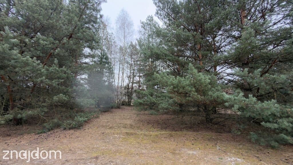 MICHAŁÓW- Działka budowlana 5500 m2- MPZP - możliwość podziału - zdjęcie 8