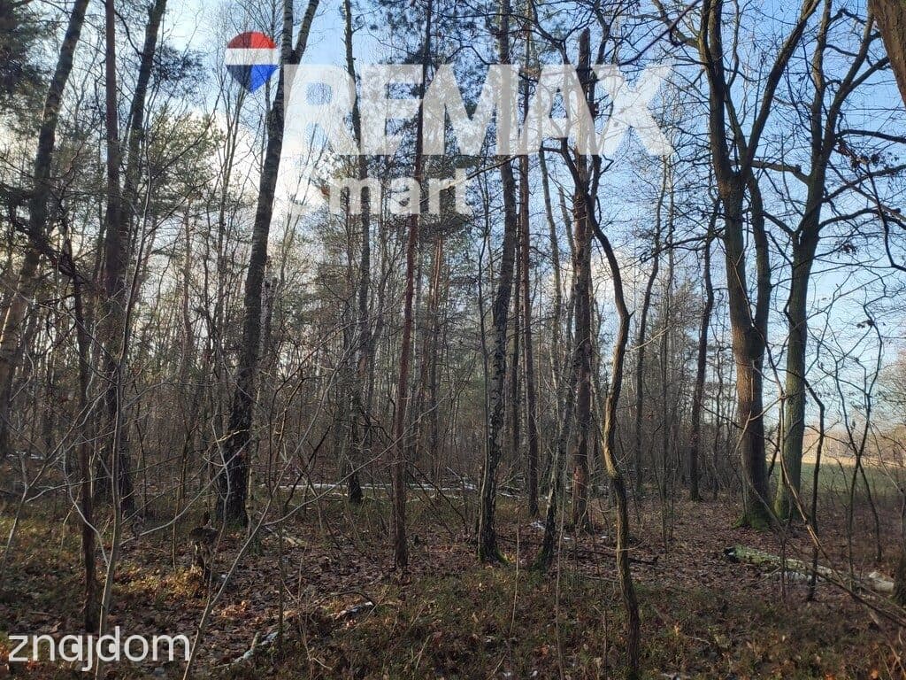 MPZP - zabudowa zagrodowa - PISKÓRKA - zdjęcie 16