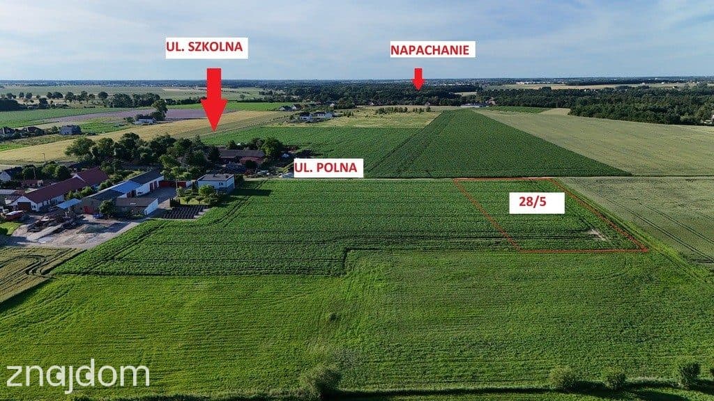 4 lokale | PnB | Kobylniki k. Kiekrza - zdjęcie 2