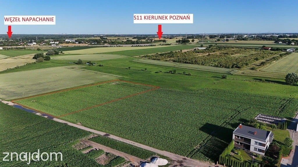 4 lokale | PnB | Kobylniki k. Kiekrza - zdjęcie 7