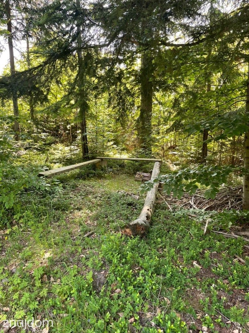 Kup sobie kawałek lasu - Złatna - zdjęcie 4