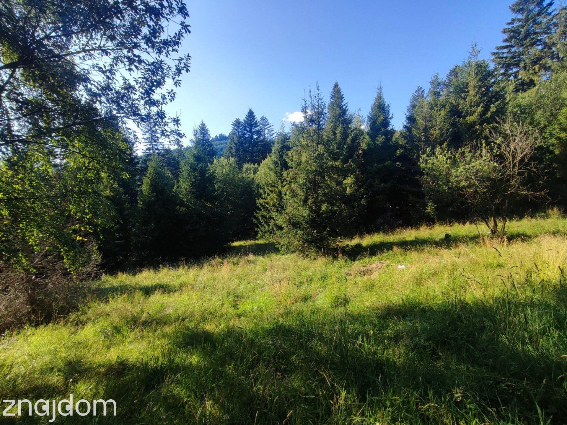 6245 m² w Złatnej – przestrzeń, las, góry i potencjał. - zdjęcie 4