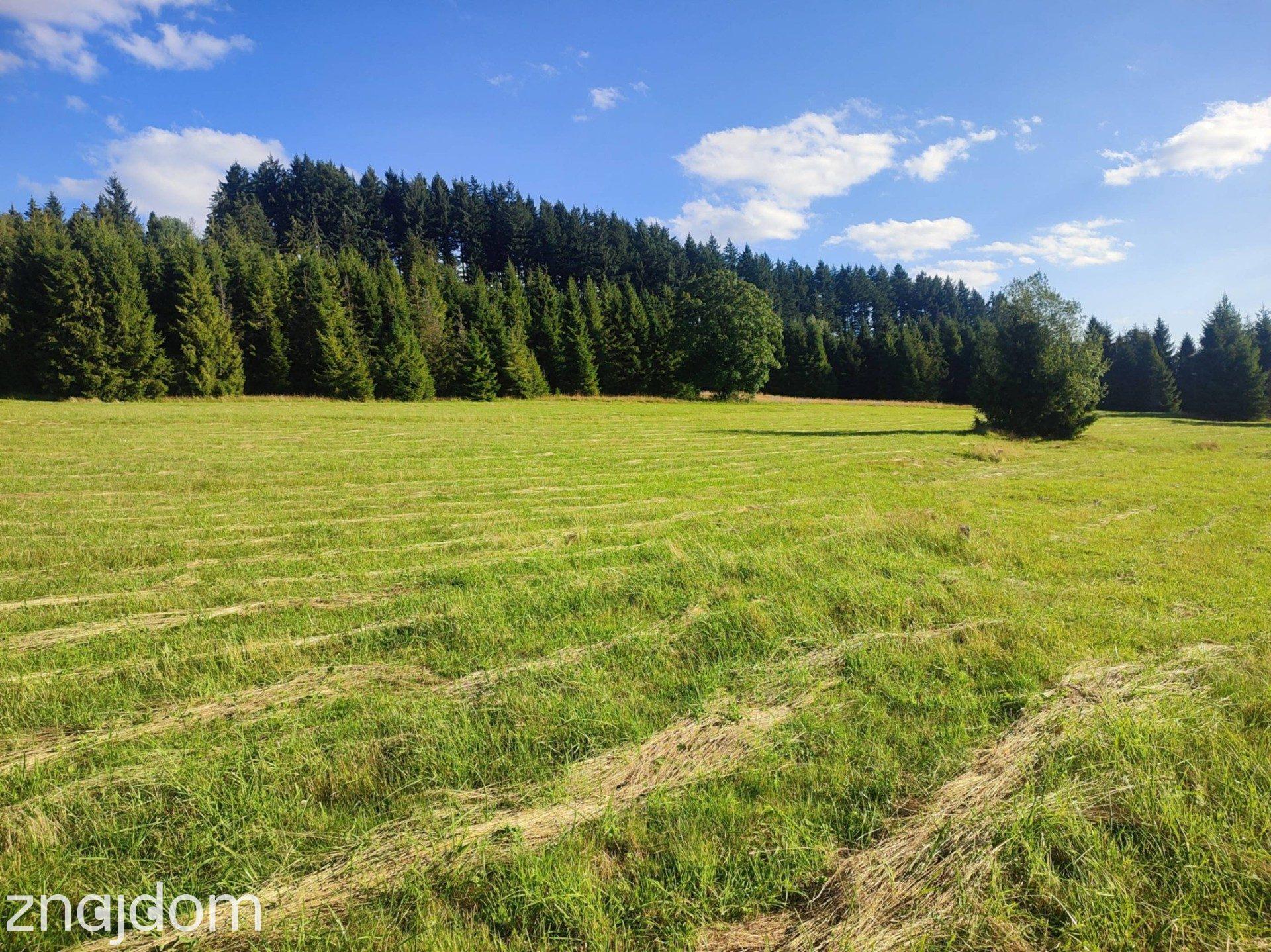 Działka rolna w Złatnej – 2944 m² - zdjęcie 2