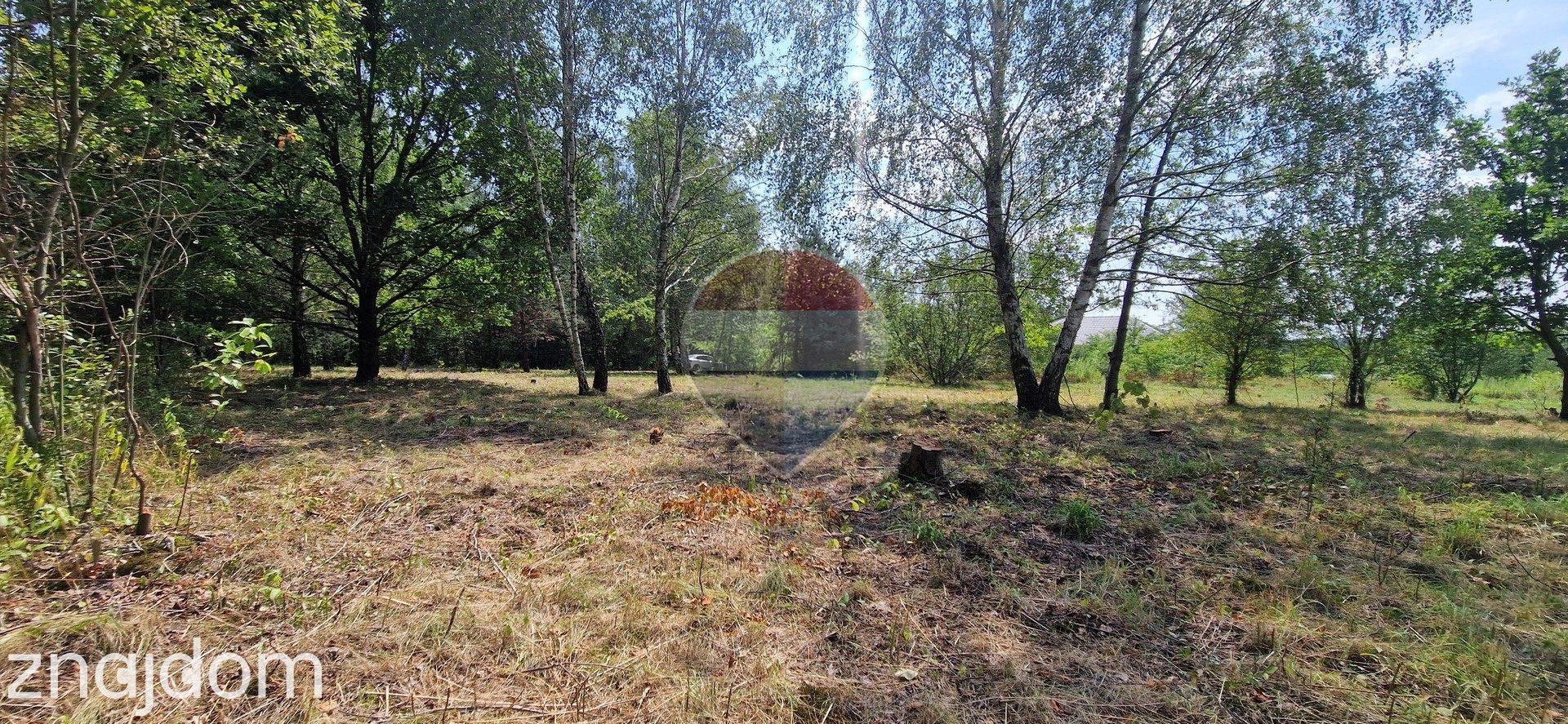 Działka z potencjałem budowlanym 1426 m² - Bielicha k. Radomia