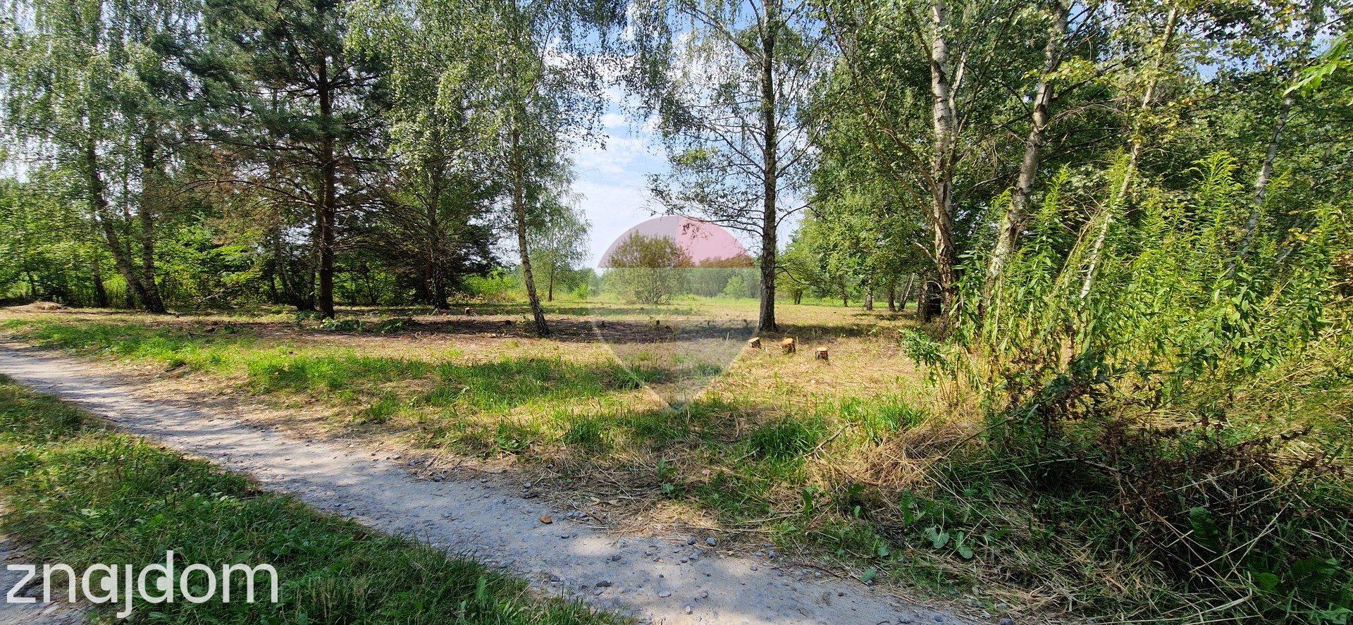 Działka z potencjałem budowlanym 1426 m² - Bielicha k. Radomia - zdjęcie 11