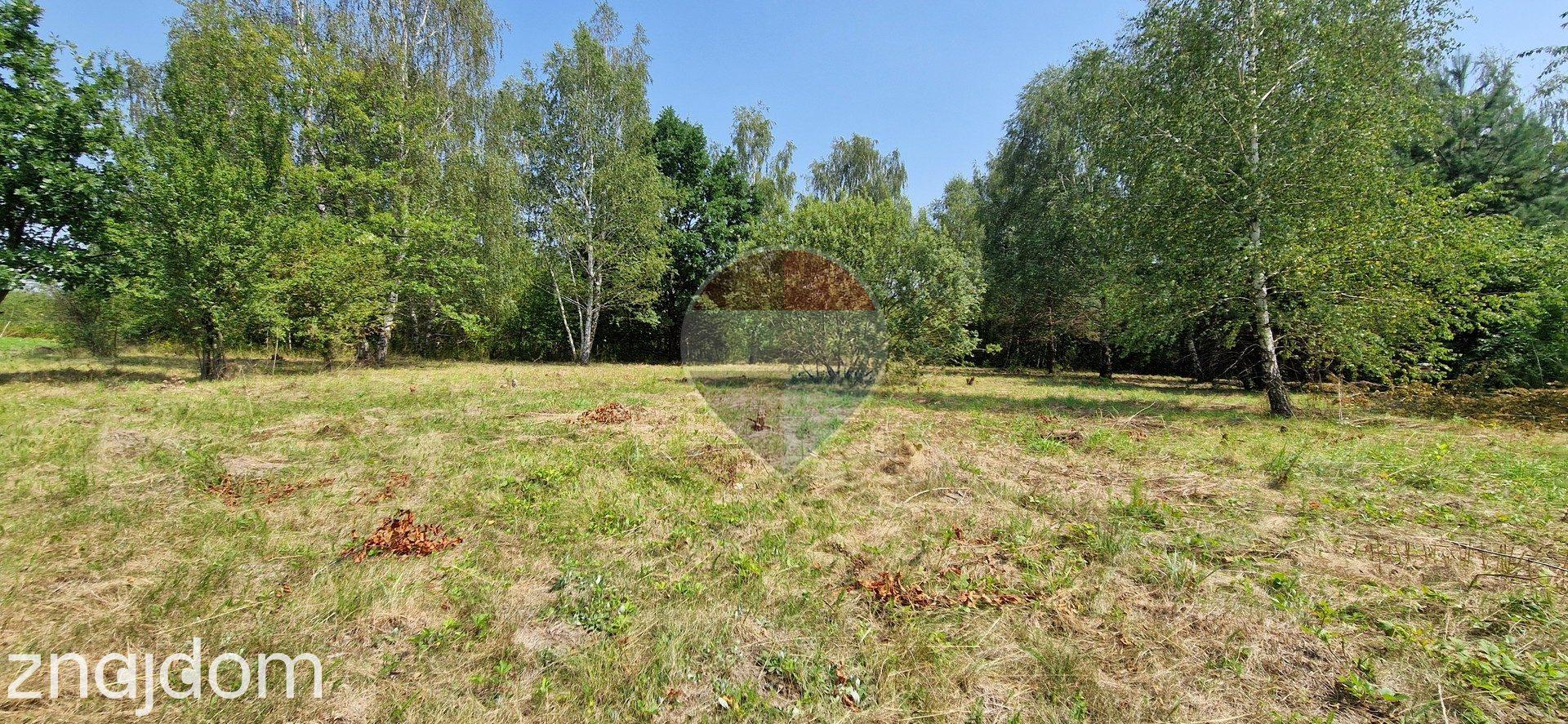 Działka z potencjałem budowlanym 1426 m² - Bielicha k. Radomia - zdjęcie 5