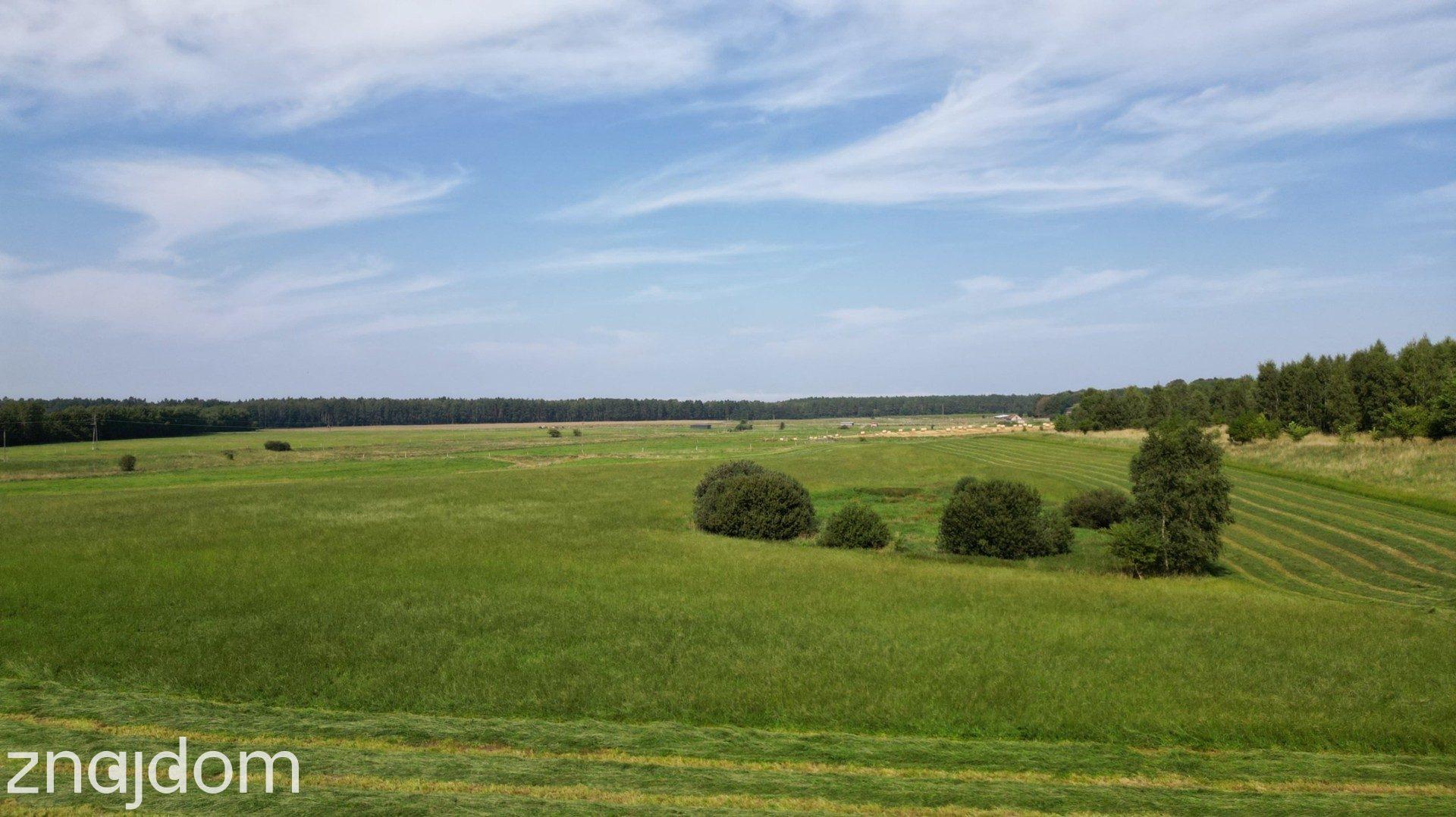31 ha z MPZP w Choczewie. - zdjęcie 6
