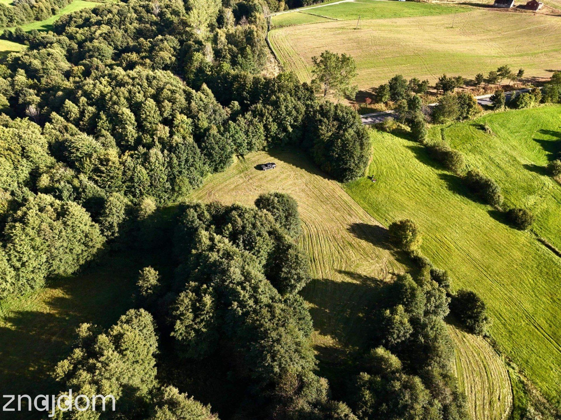 Wyjątkowa działka-Kaszuby, Strysza Buda. - zdjęcie 15