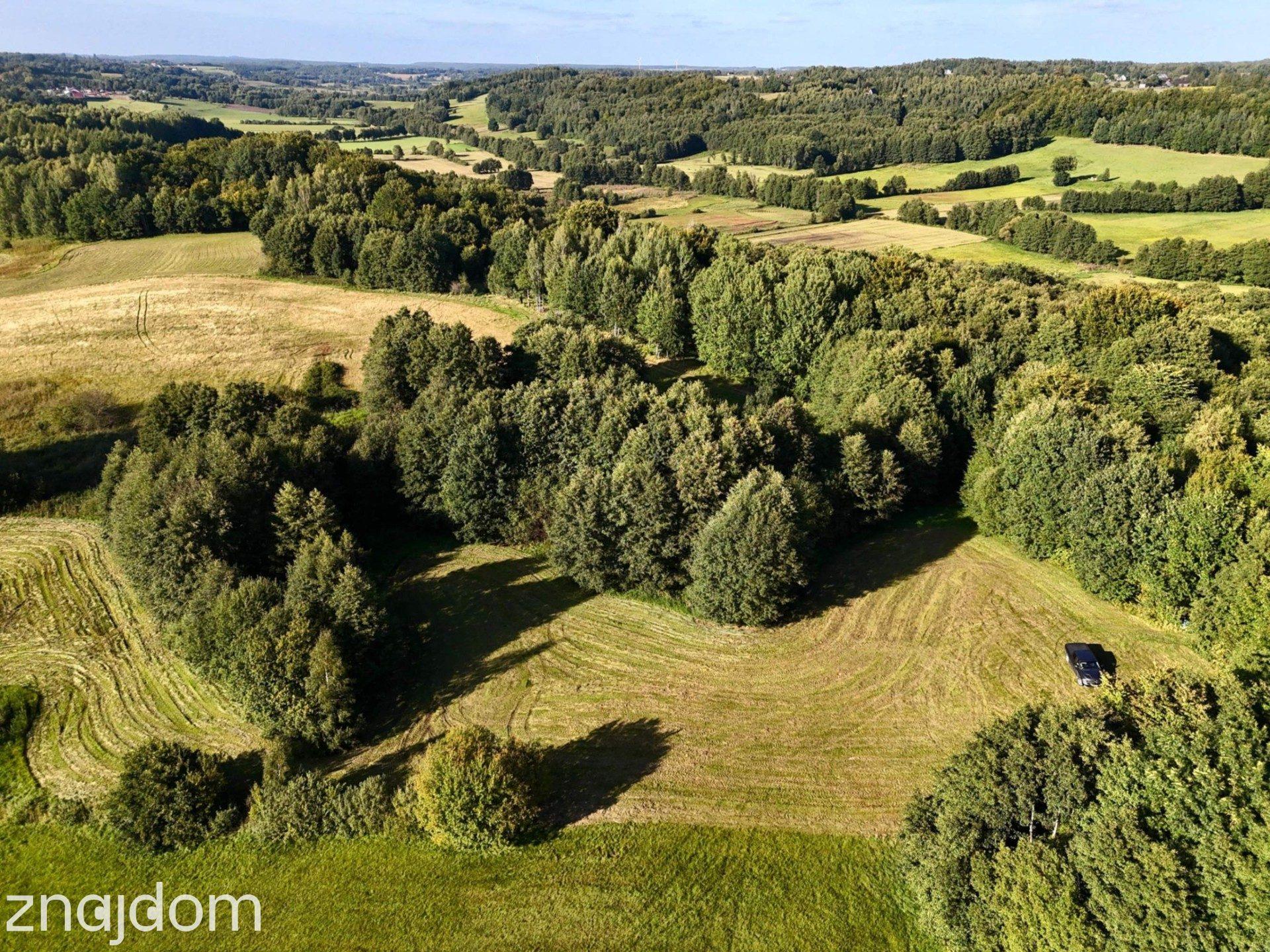 Wyjątkowa działka-Kaszuby, Strysza Buda. - zdjęcie 2