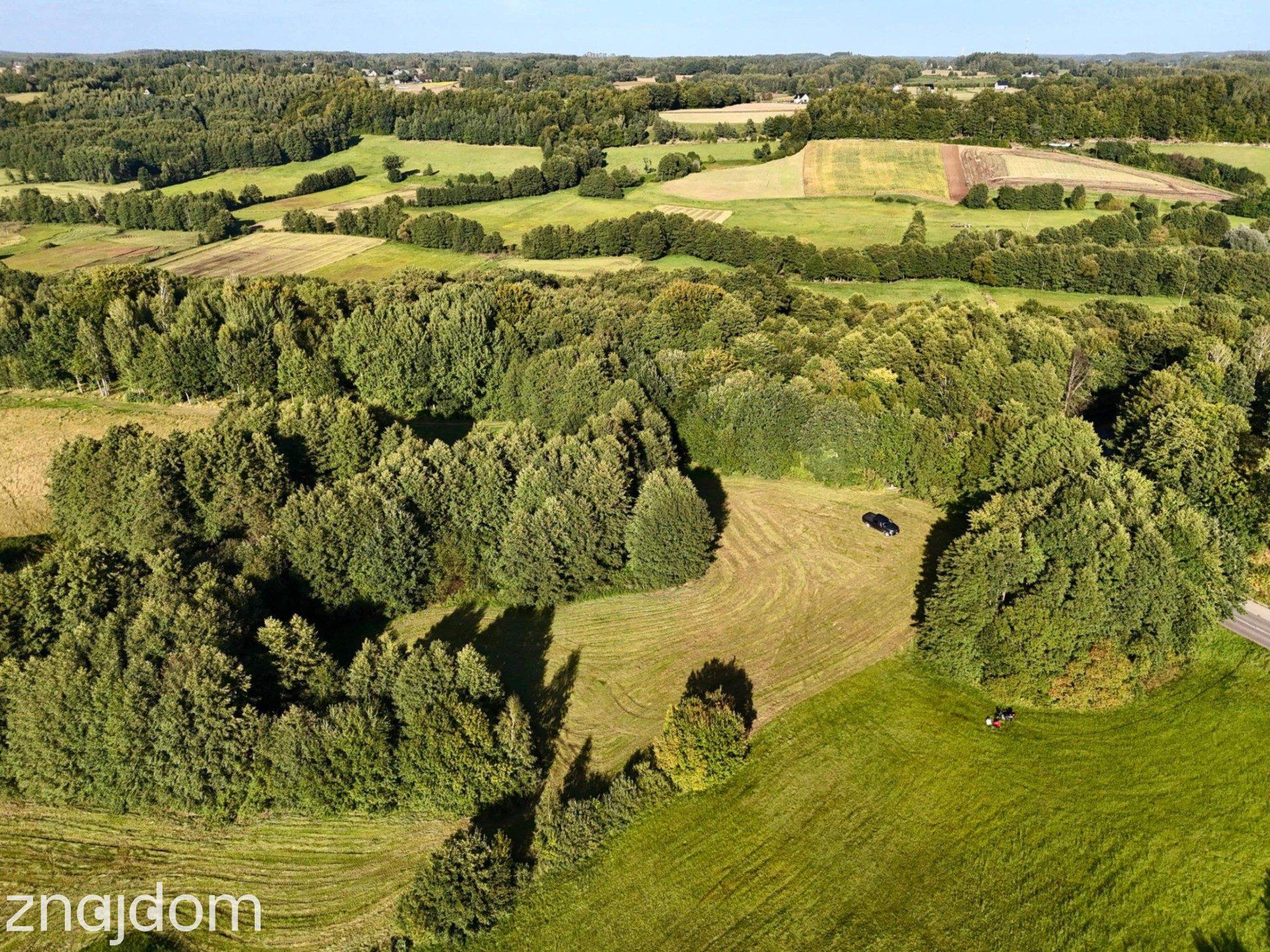 Wyjątkowa działka-Kaszuby, Strysza Buda. - zdjęcie 5