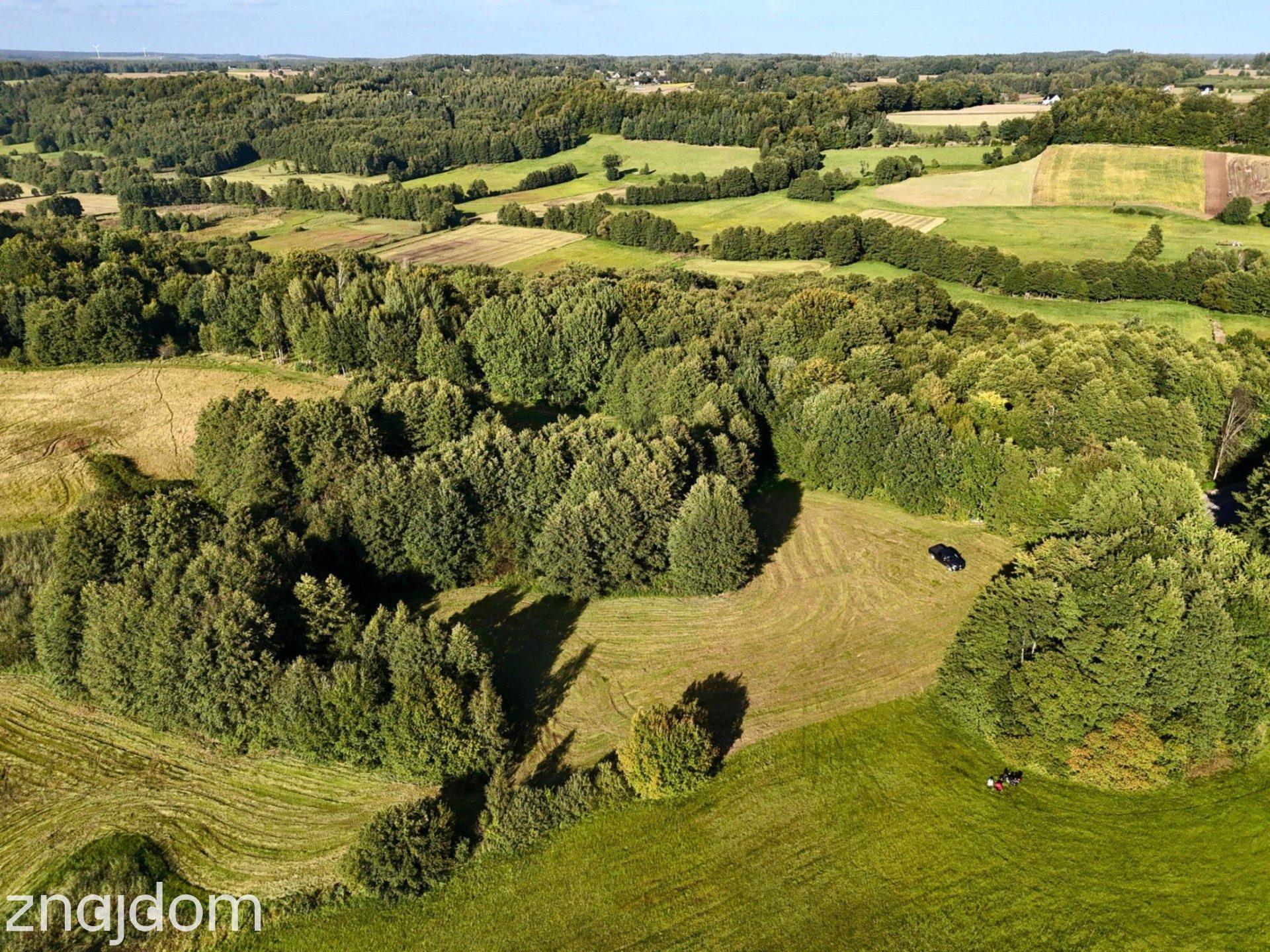 Wyjątkowa działka-Kaszuby, Strysza Buda. - zdjęcie 6