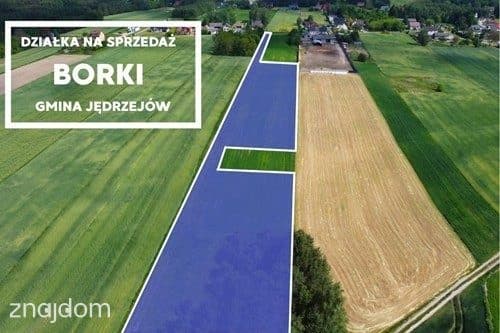 Teren inwestycyjny 9538 m2 z WZ - Borki | Jędrzejów