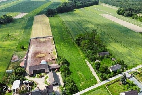 Teren inwestycyjny 9538 m2 z WZ - Borki | Jędrzejów - zdjęcie 7