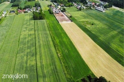 Teren inwestycyjny 9538 m2 z WZ - Borki | Jędrzejów - zdjęcie 8
