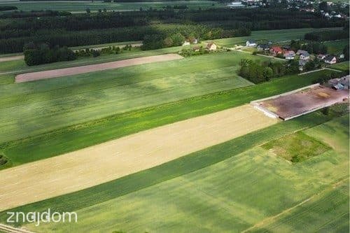 Teren inwestycyjny 9538 m2 z WZ - Borki | Jędrzejów - zdjęcie 9