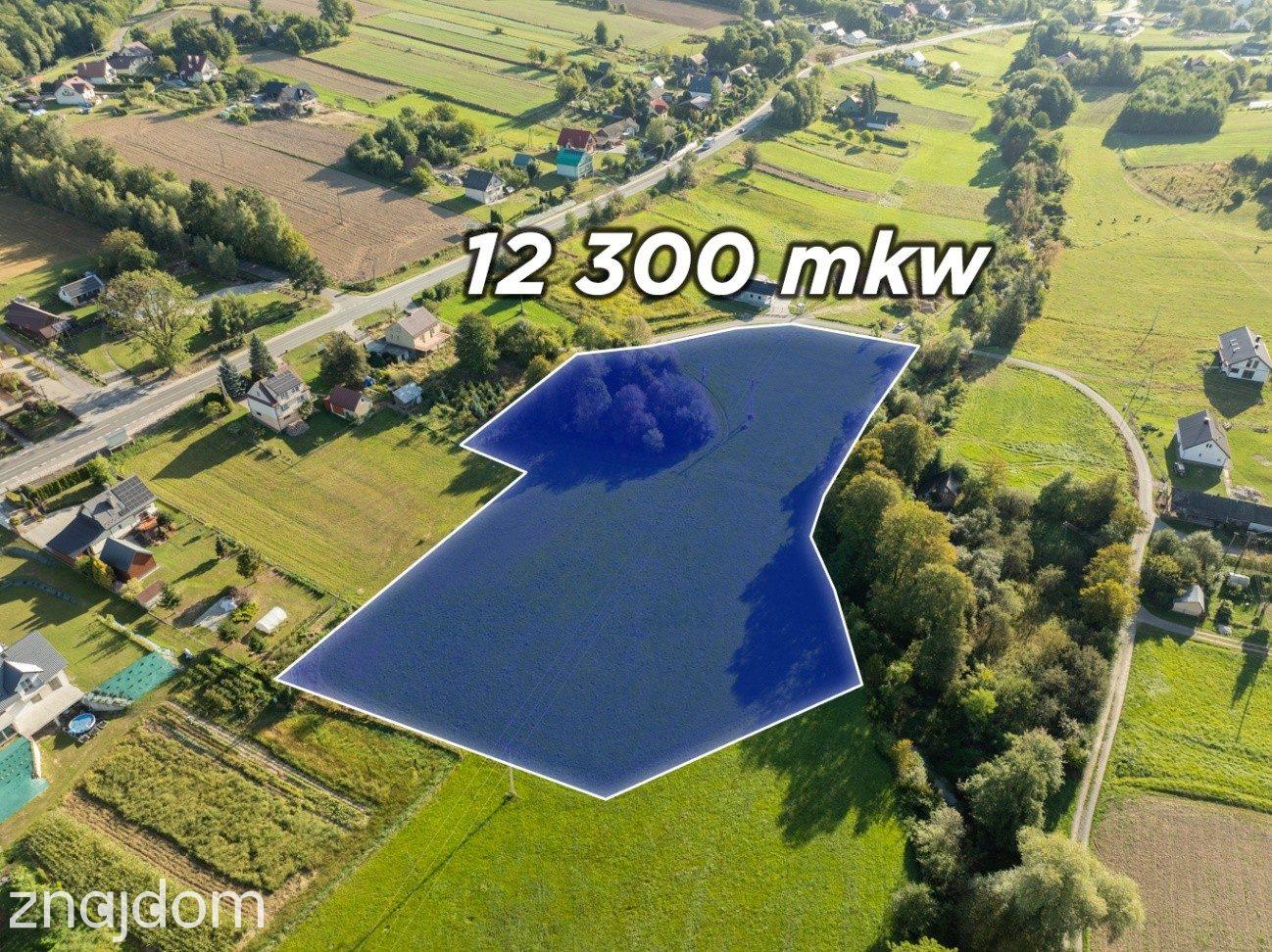 Działka budowlano-rolna 1,23 ha | 30,35 ar UM - zdjęcie 2
