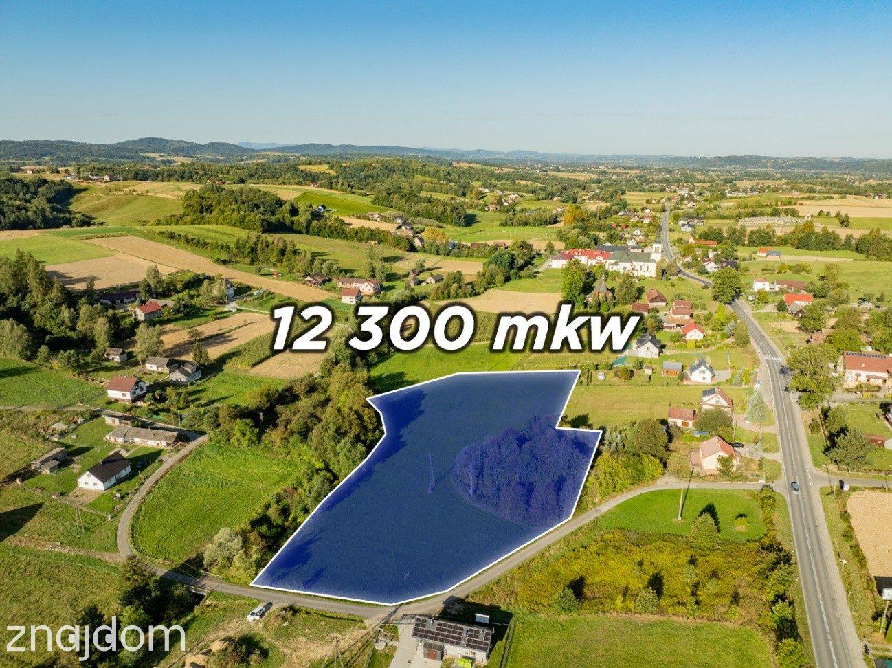 Działka budowlano-rolna 1,23 ha | 30,35 ar UM - zdjęcie 3