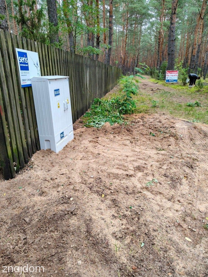 Działka leśna w Ryni, gmina Dobre – 6 379 m² - zdjęcie 6