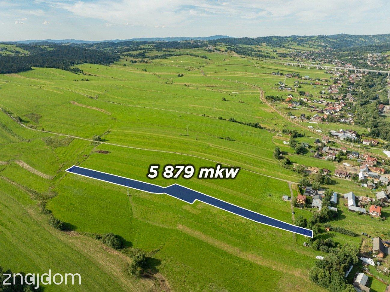 Działka-Sprzedaż-Lasek PL - zdjęcie 2