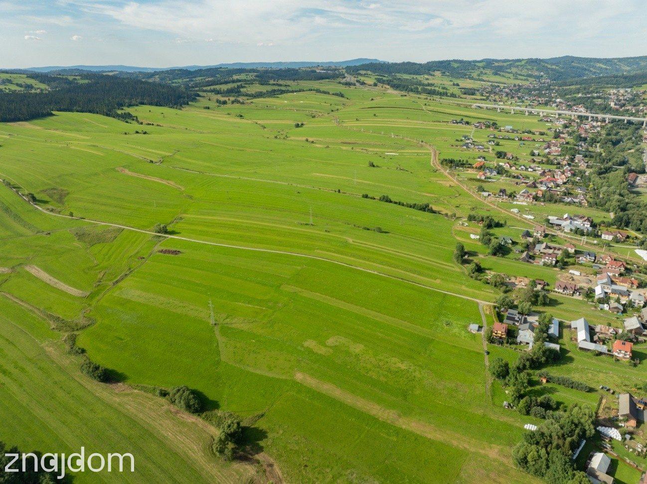 Działka-Sprzedaż-Lasek PL - zdjęcie 4