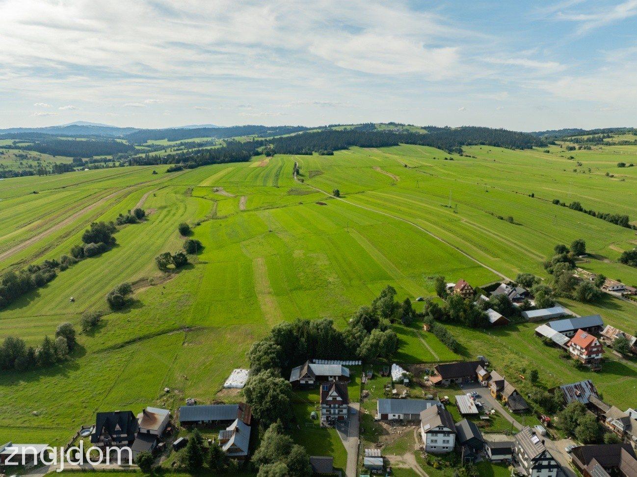 Działka-Sprzedaż-Lasek PL - zdjęcie 5