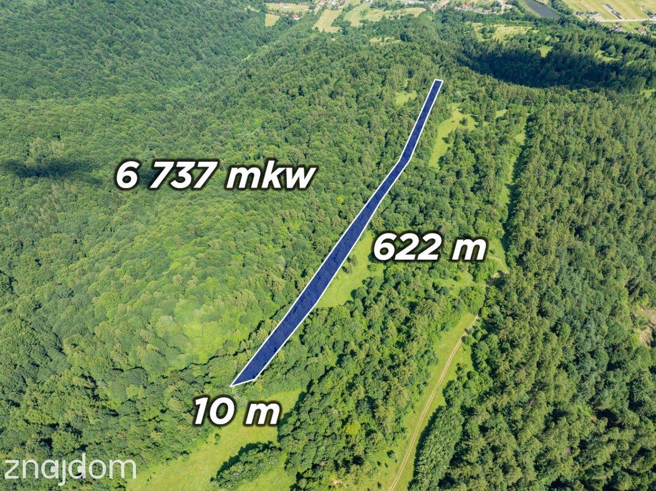 Las w Krościenku nad Dunajcem - zdjęcie 3