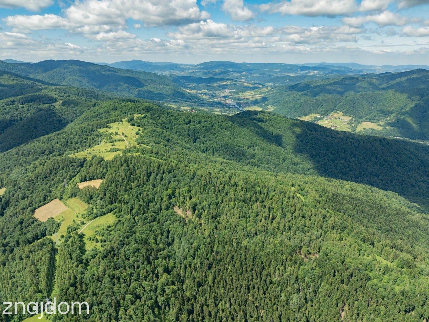 Las w Krościenku nad Dunajcem - zdjęcie 7