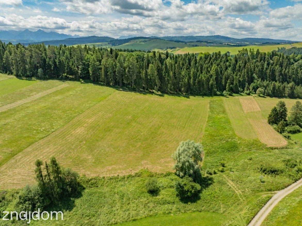 Działka w Niedzicy – prywatna oaza ciszy - zdjęcie 15