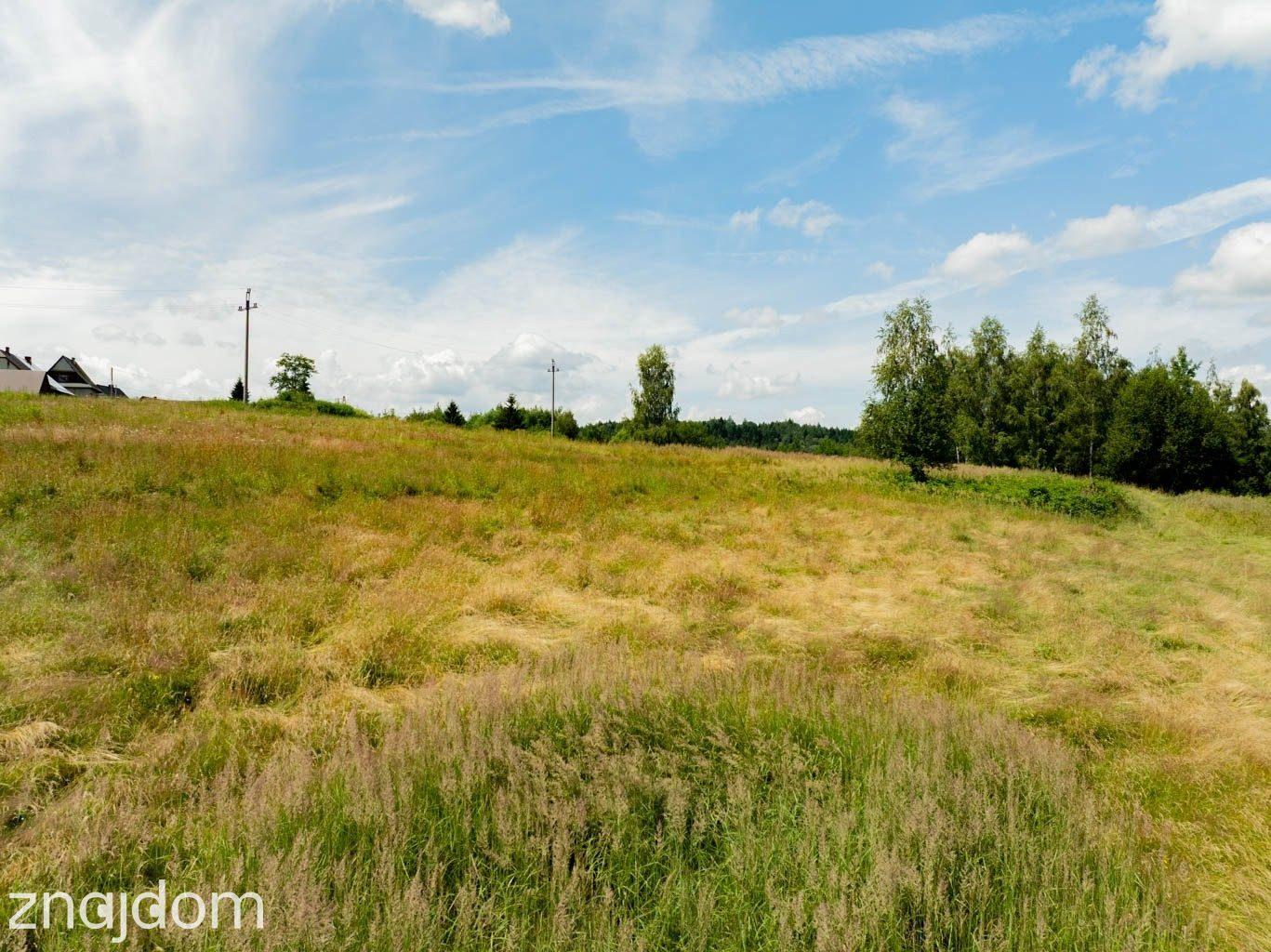 Działka w pełni Budowlana Wysoka gm. Jordanów - zdjęcie 21