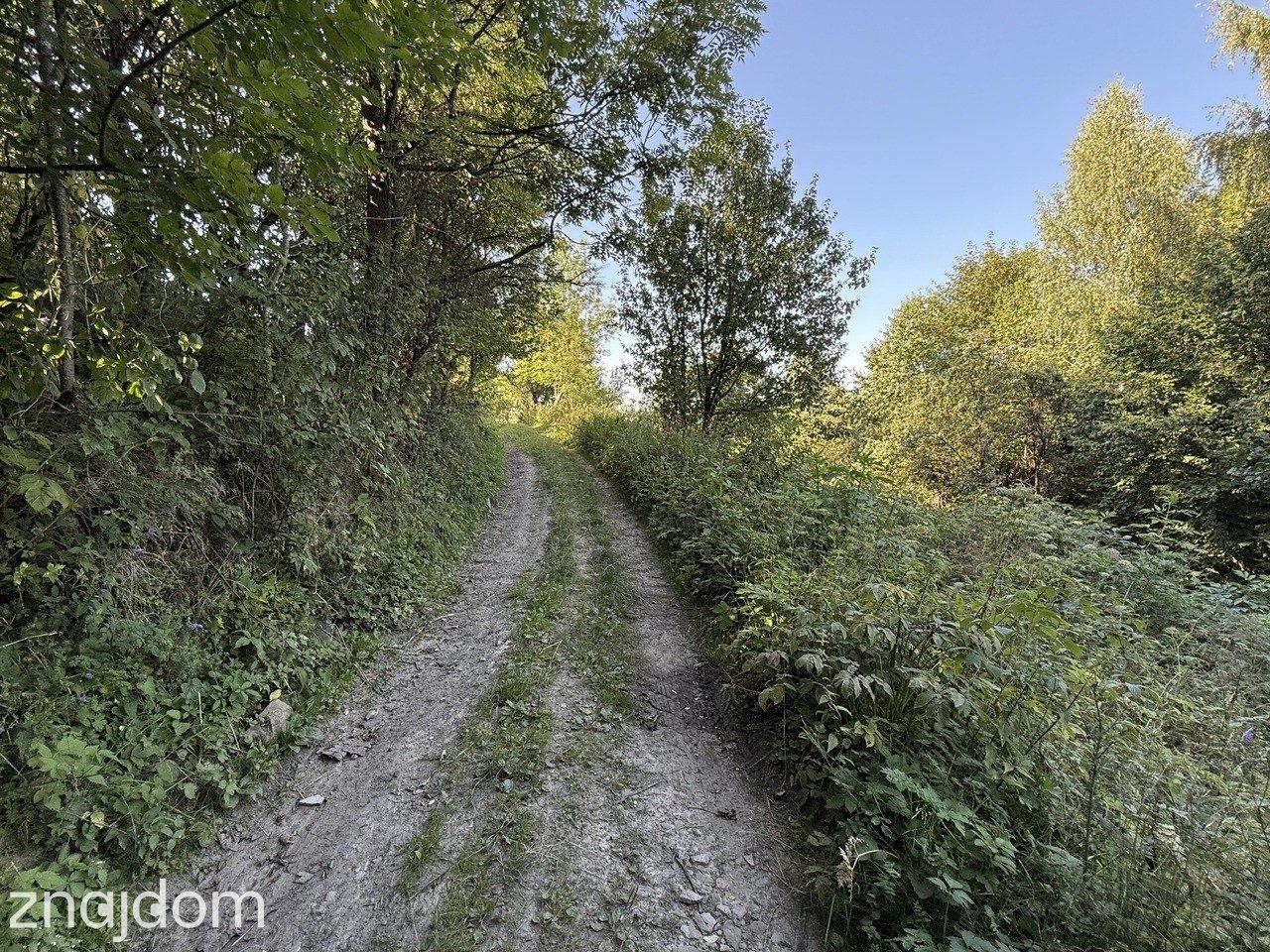 Działka Budowlana Tylmanowa - zdjęcie 12