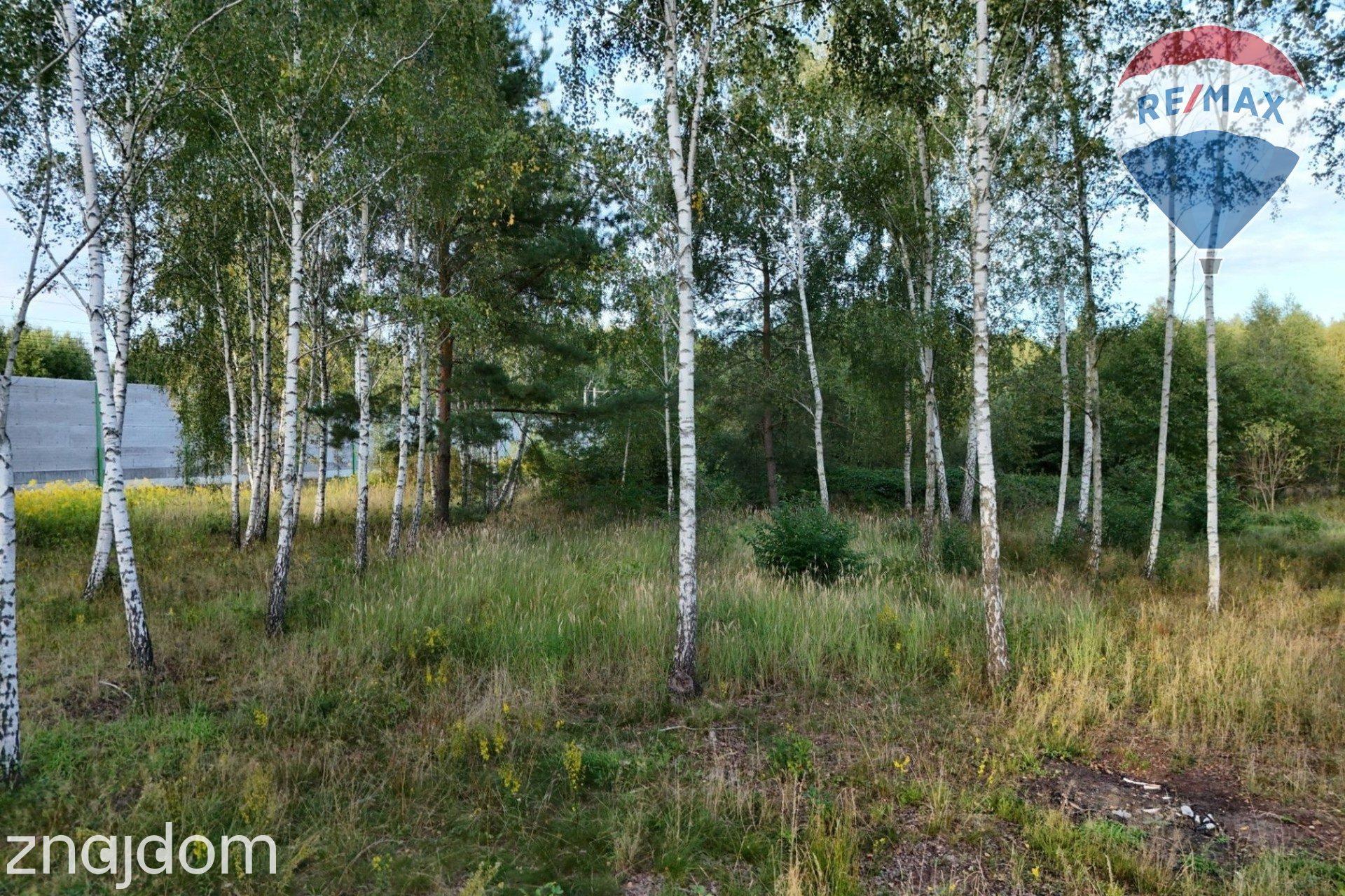 Działka budowlana 1200 m2, Jesionka, gm. Wiskitki. - zdjęcie 2