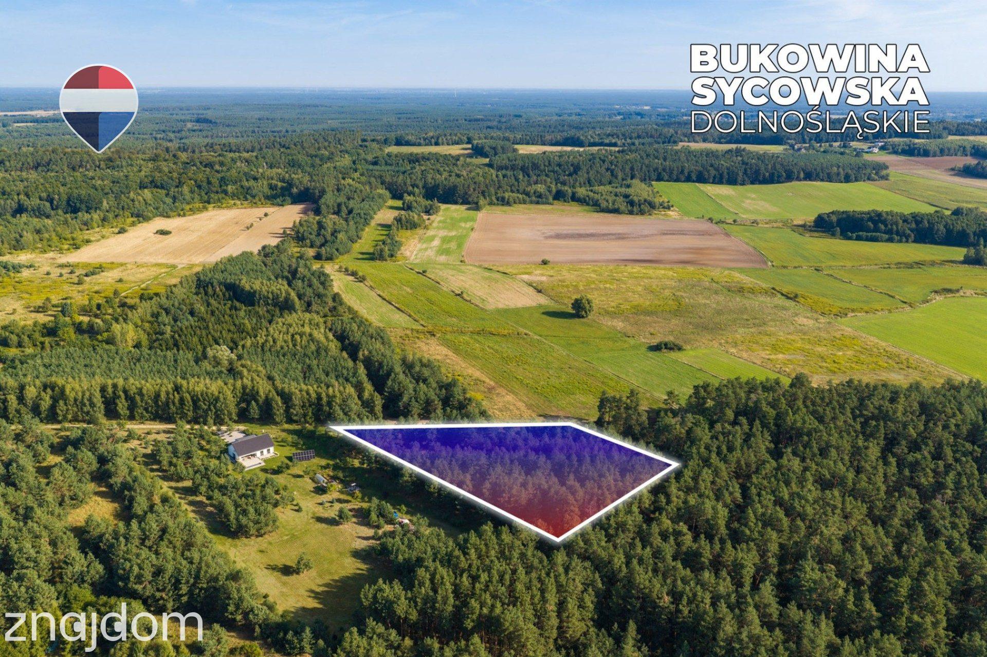 Działka leśna pow. 8.100 m², Bukowina Sycowskiej