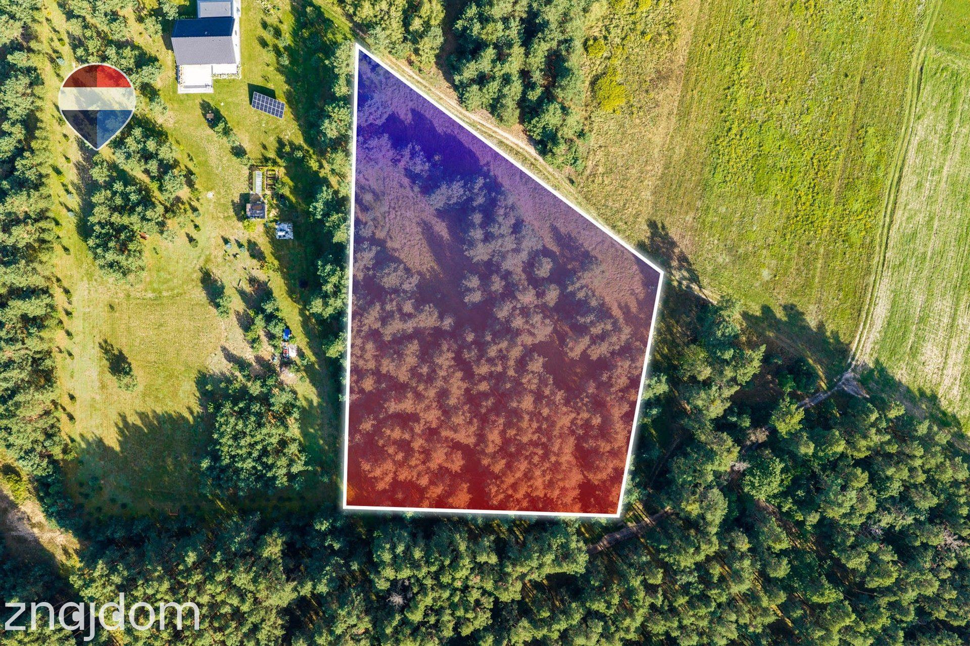 Działka leśna pow. 8.100 m², Bukowina Sycowskiej - zdjęcie 10