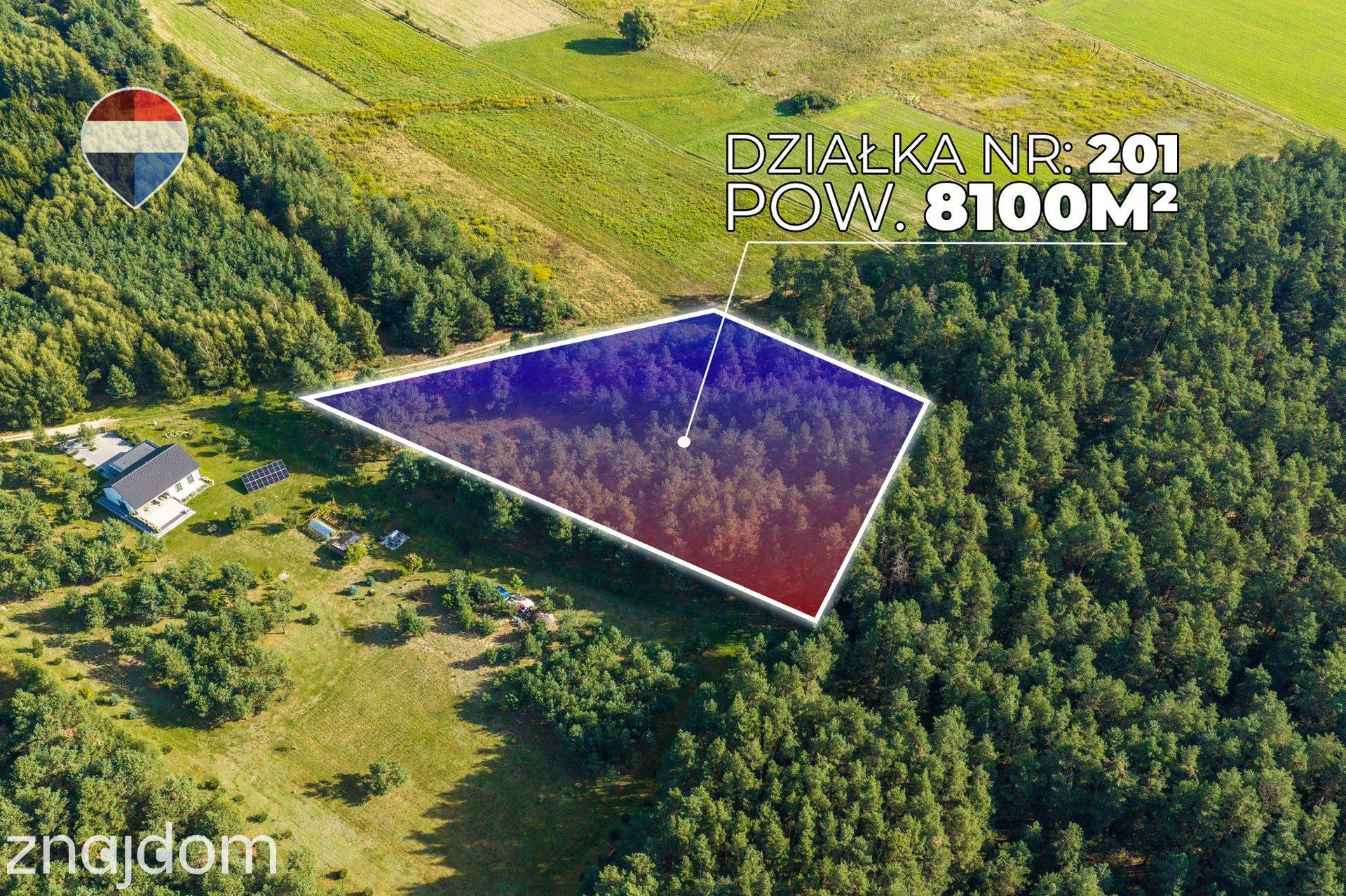 Działka leśna pow. 8.100 m², Bukowina Sycowskiej - zdjęcie 11