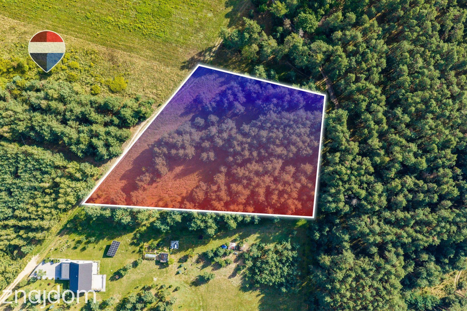 Działka leśna pow. 8.100 m², Bukowina Sycowskiej - zdjęcie 12