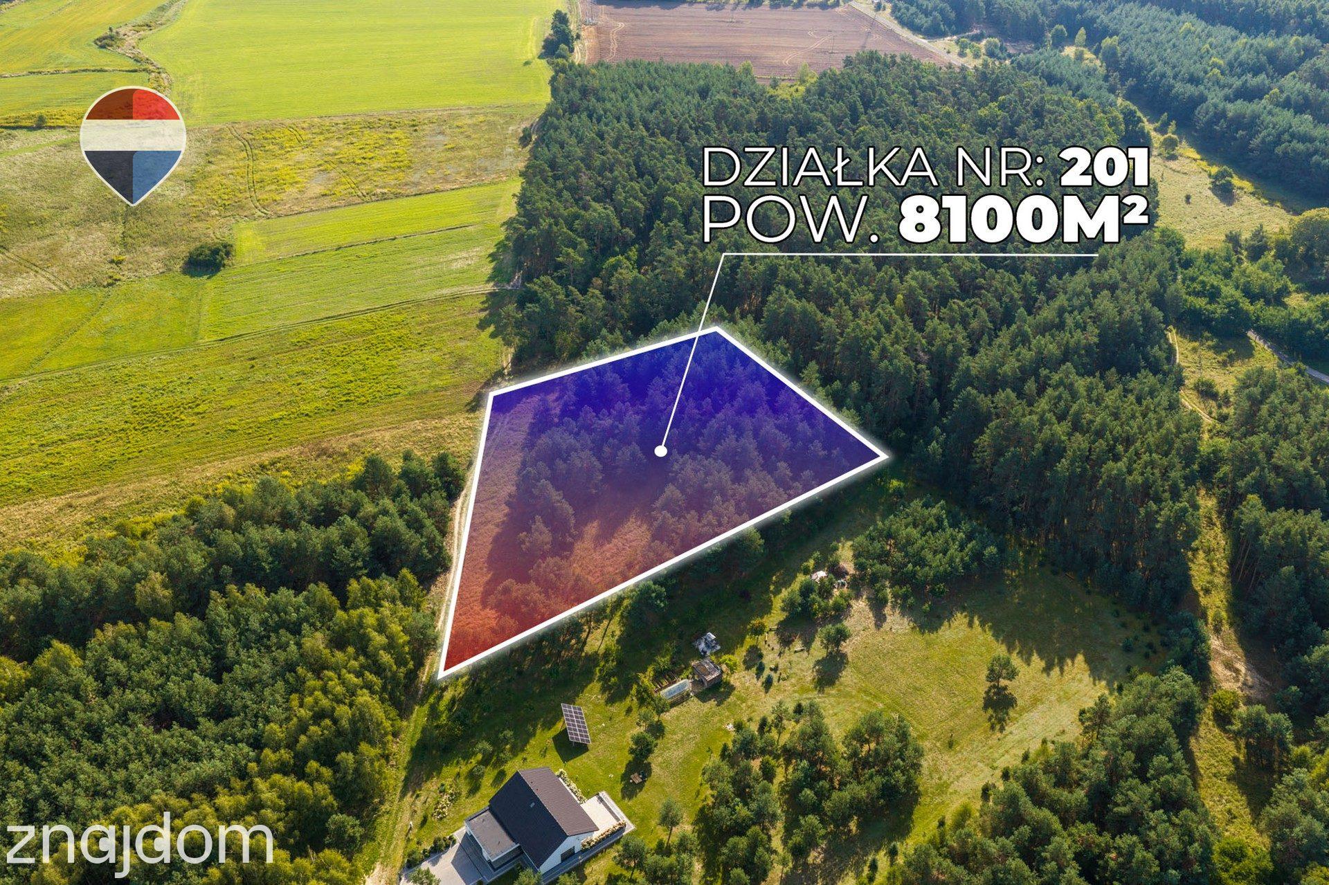 Działka leśna pow. 8.100 m², Bukowina Sycowskiej - zdjęcie 13