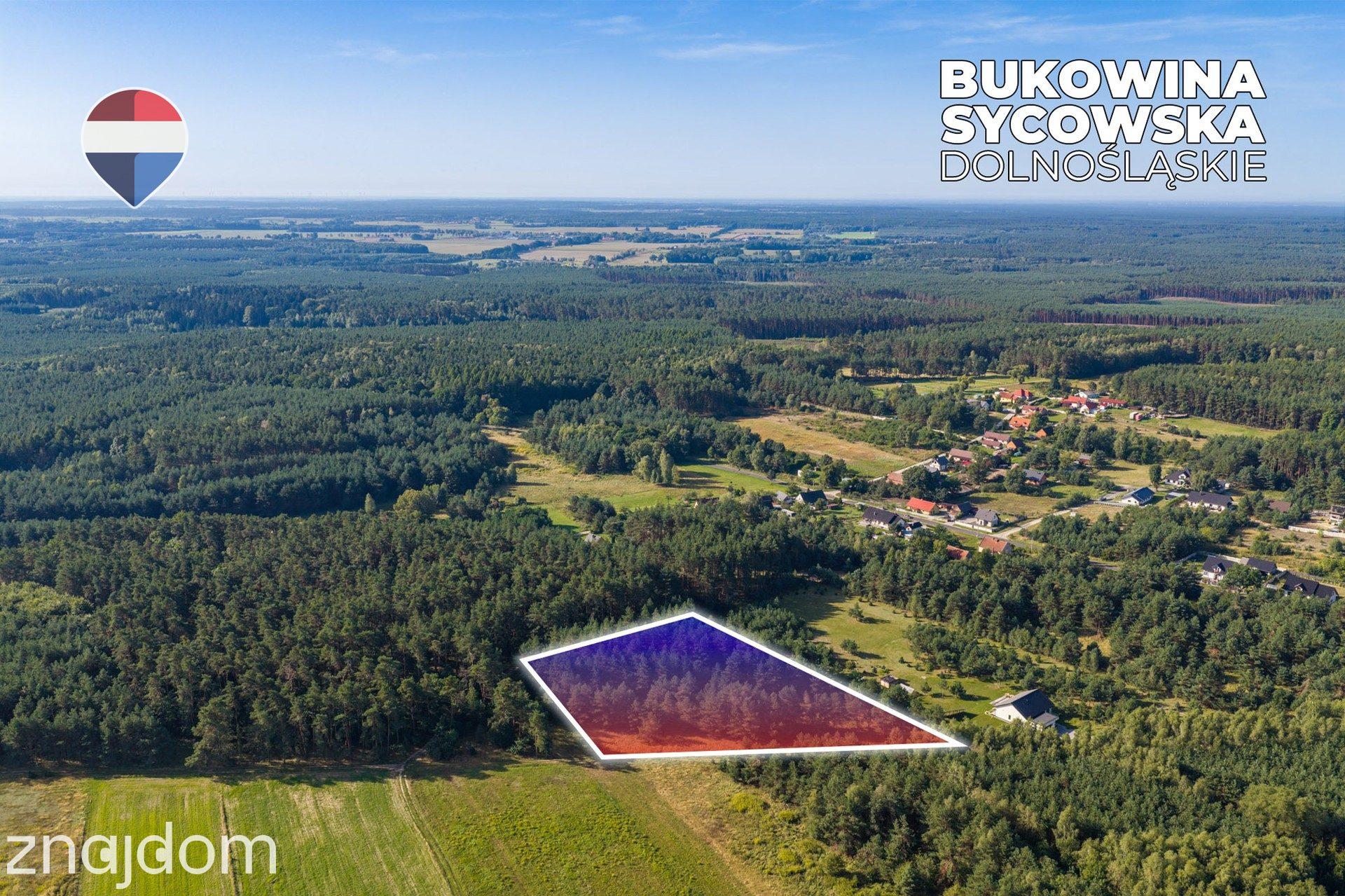 Działka leśna pow. 8.100 m², Bukowina Sycowskiej - zdjęcie 14