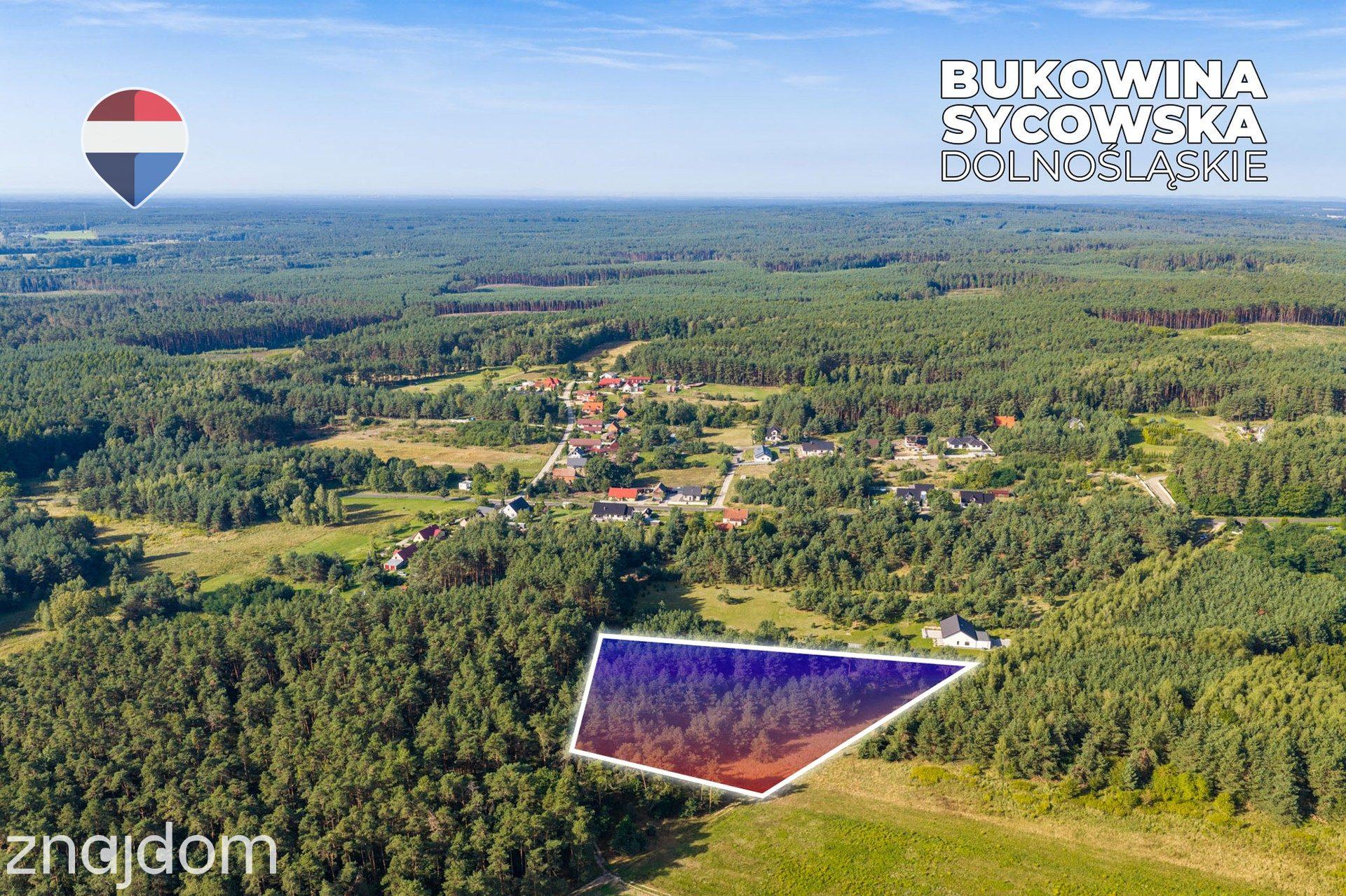 Działka leśna pow. 8.100 m², Bukowina Sycowskiej - zdjęcie 15