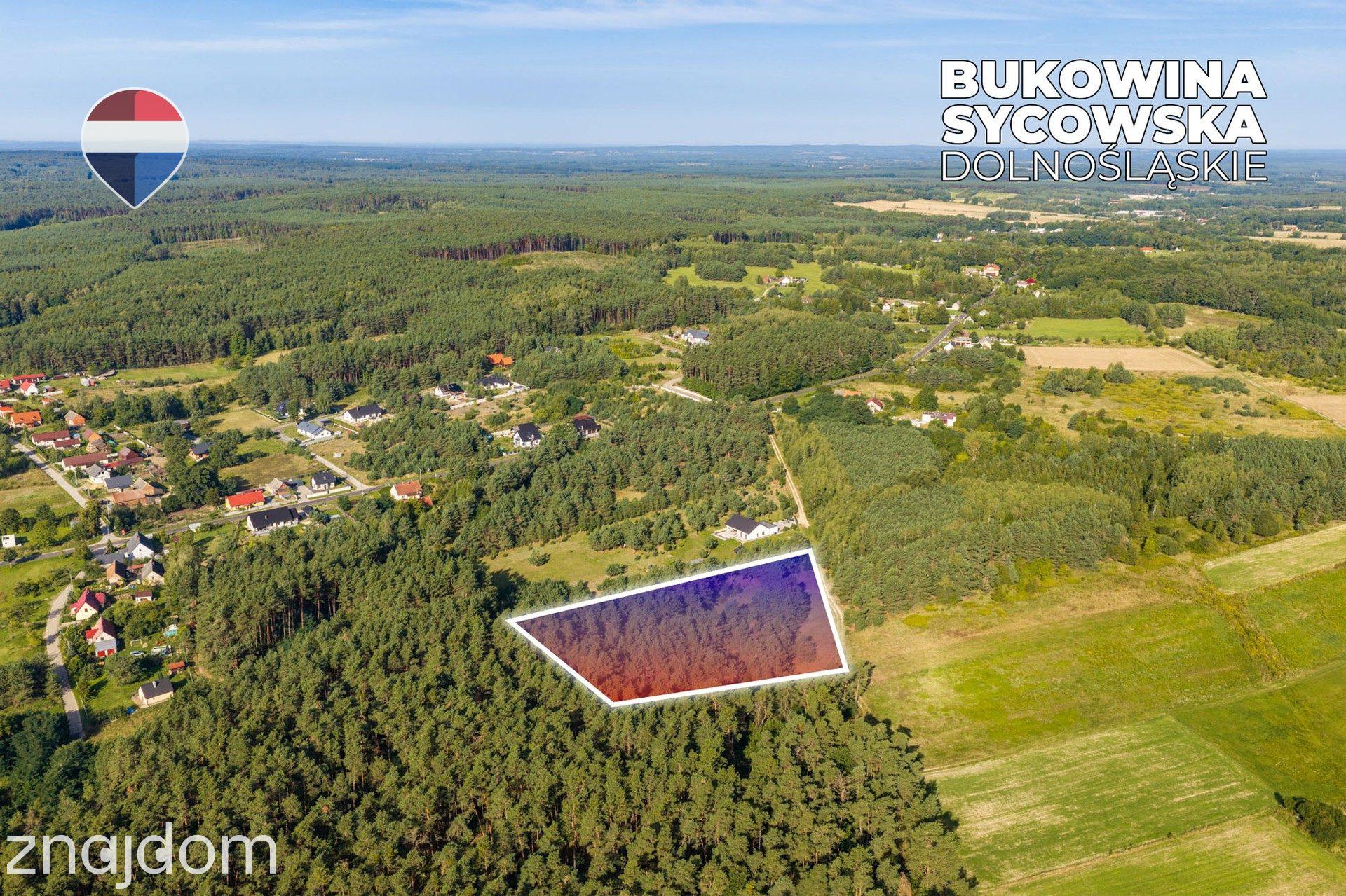 Działka leśna pow. 8.100 m², Bukowina Sycowskiej - zdjęcie 16
