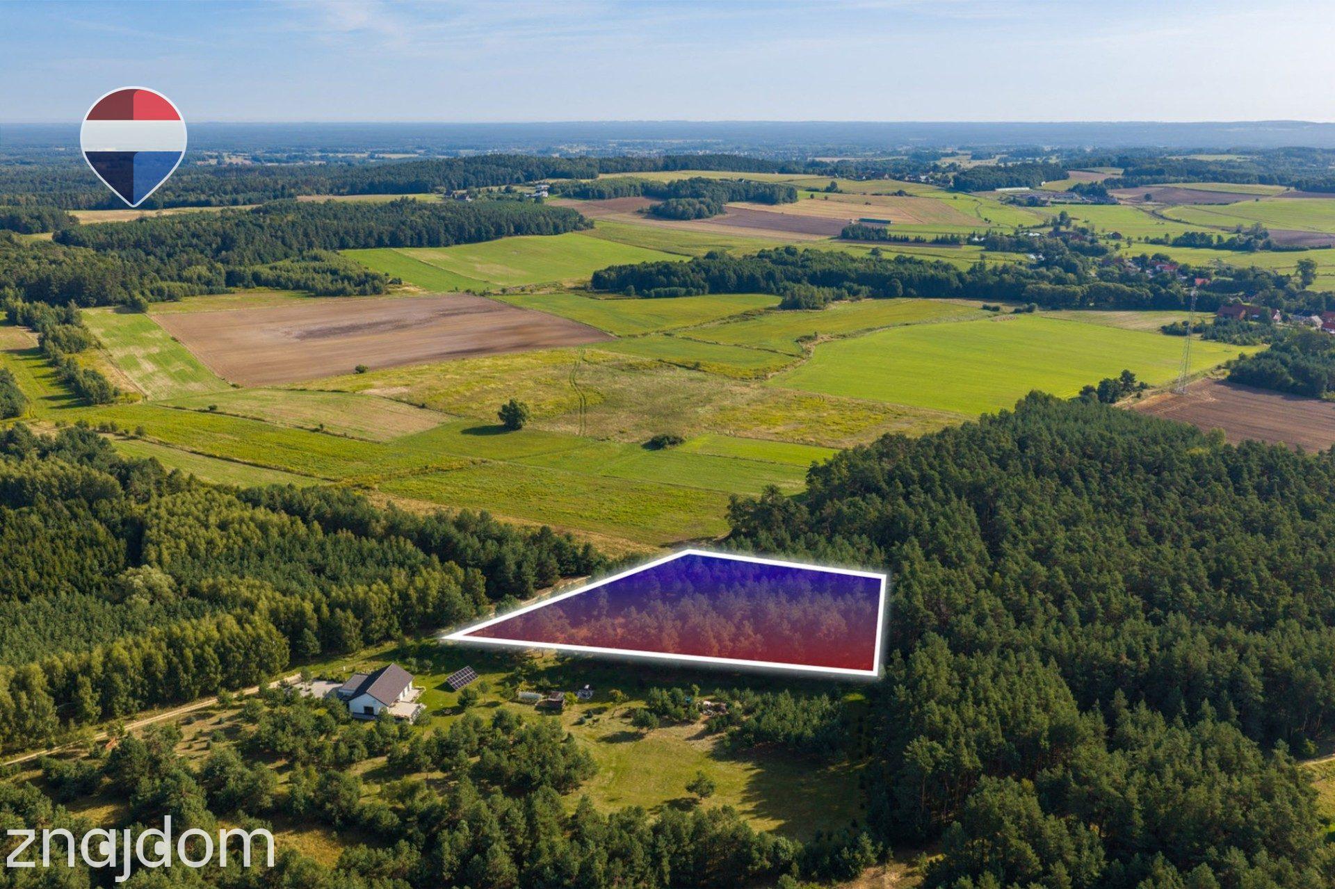 Działka leśna pow. 8.100 m², Bukowina Sycowskiej - zdjęcie 2