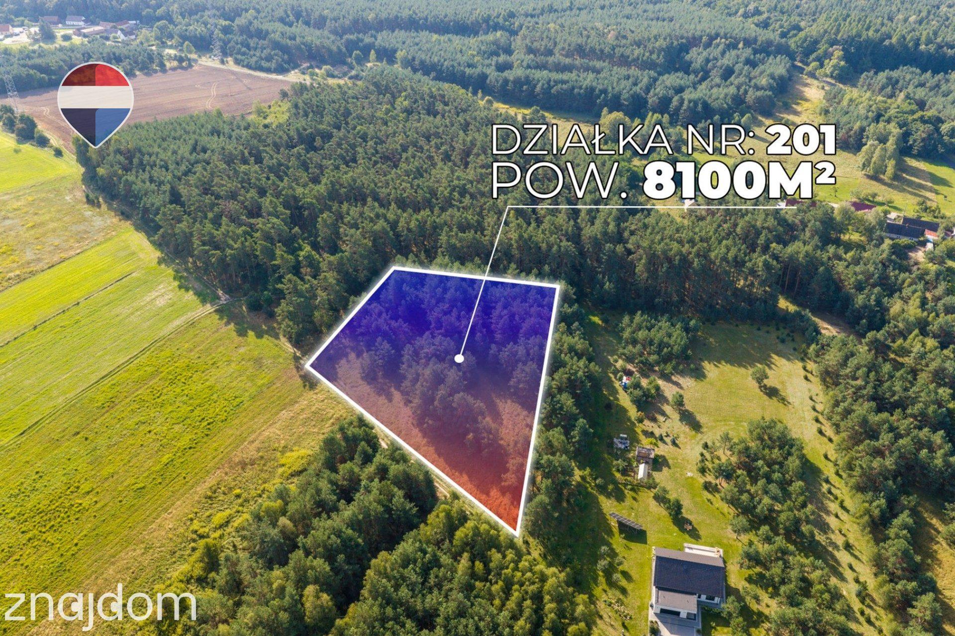 Działka leśna pow. 8.100 m², Bukowina Sycowskiej - zdjęcie 3