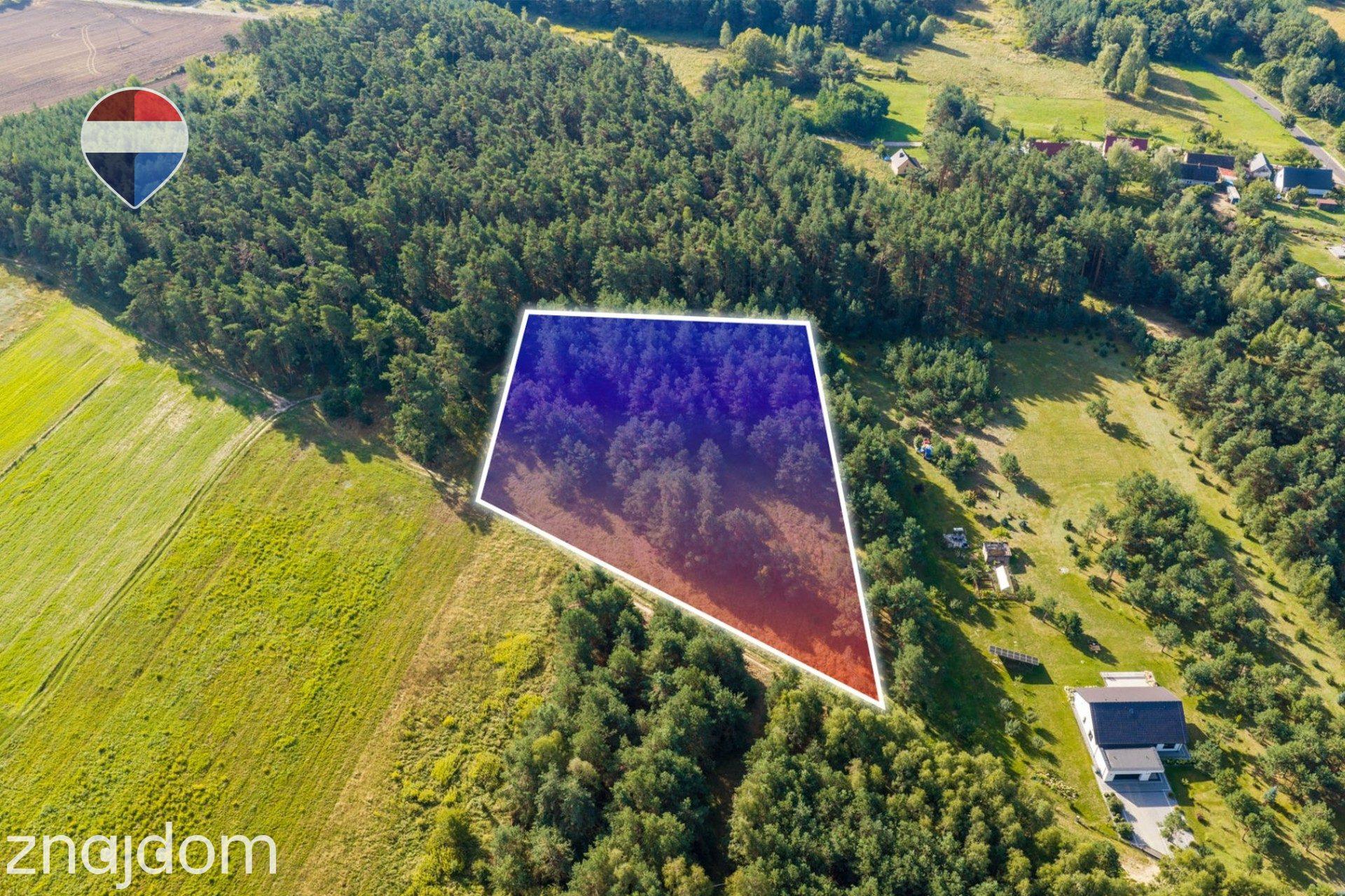 Działka leśna pow. 8.100 m², Bukowina Sycowskiej - zdjęcie 4