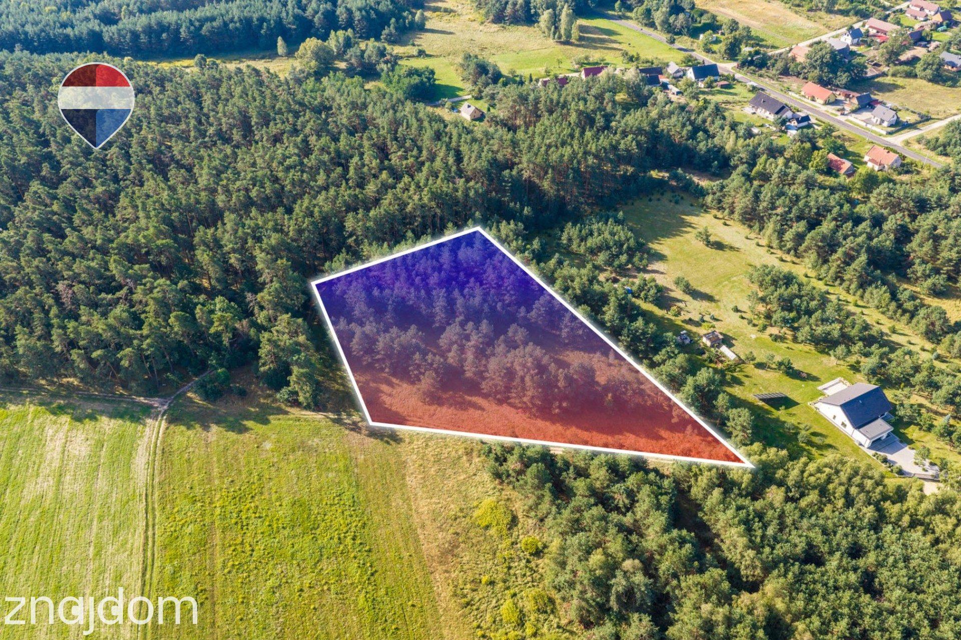 Działka leśna pow. 8.100 m², Bukowina Sycowskiej - zdjęcie 5